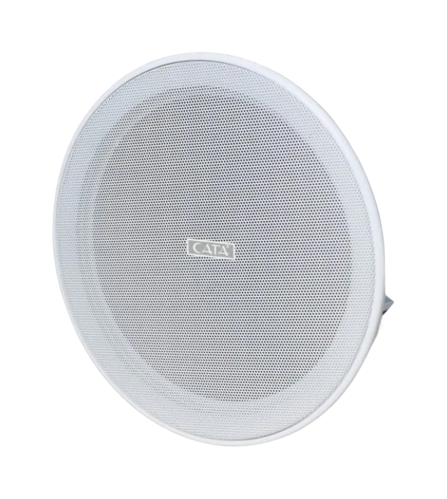 30W Hoparlör 16Cm Balanstlı